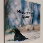 Mustarastaan luonto : Raisionjokilaakson luonnonsuojeluyh... - pikkukuva 1
