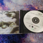 Ministry - The Land Of Rape And Honey (CD) - pikkukuva 3