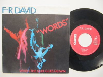 F-R David Words 7" sinkku