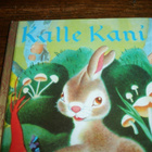 Kalle Kani TKK 6 2008 - pikkukuva 1