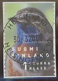 1999 1. lk sinirinta loisto HELSINKI -00