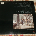 THE DEL-LORDS ~ Based On A True Story ~ LP kelmussa MINT - pikkukuva 2