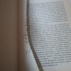 Henry Fielding - Tom Jones (sid.) - pikkukuva 2