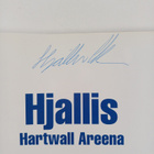 Ari Mennander : Hjallis : Hartwall Areena : miten mahdott... - pikkukuva 3