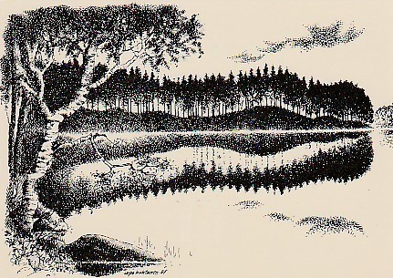 Postikortti, NORONNIEMI, HAAPAJÄRVI, VIRTASALMI