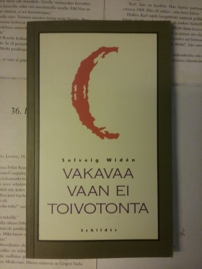 Solveig Widen - Vakavaa vaan ei toivotonta (nid.)