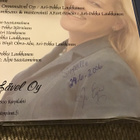 Eija Koriseva . Luotin vain nimmari CDS single - pikkukuva 2