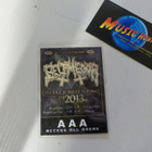 BELPHEGOR - SPECIAL JUBILEF SHOWS IN 2013 BACKSTAGE-PASSI . - pikkukuva 2