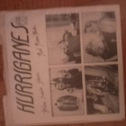 Hurriganes; blue suede shoes(1974love records) - pikkukuva 2