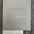 Kausi sydämestäni - Chicagon päiväkirjat - pikkukuva 2