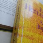Ernest Hemingway - Kuolema iltapäivällä (nid.) - pikkukuva 3