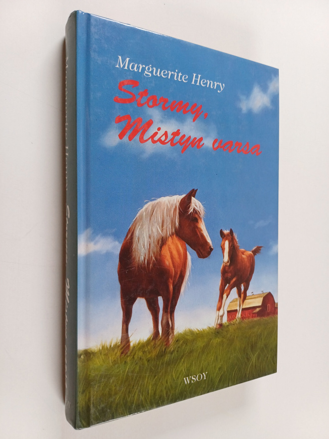 Marguerite Henry : Stormy, Mistyn varsa