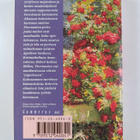 Catherine Cookson : Yöperhonen : romaani - pikkukuva 2