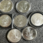 7kpl Usa 1d hopeadollaria - pikkukuva 5