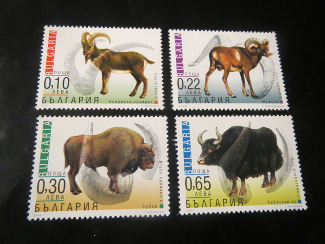 Bulgaria 2000: eläimiä