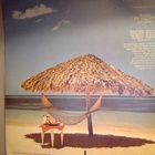 CAT STEVENS :: FOREIGNER :: VINYYLI LP 1973 - pikkukuva 2