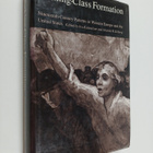 Working-class formation : nineteenth-century patterns in ... - pikkukuva 1