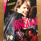 Dingo: Kaikki huutaa Dingooo fanilehti, Gummerus, 1985 - pikkukuva 1