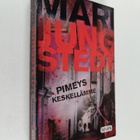 Mari Jungstedt : Pimeys keskellämme - pikkukuva 1