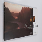 Aurajoki : ajan virta - pikkukuva 1