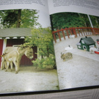 Otto-Nalle huvipuistossa 7 - pikkukuva 3