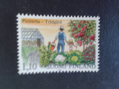 1982 puutarha**