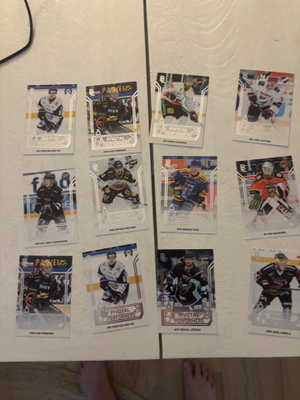 Blueline 2026/27 Pivotal Performers 1,50€/kpl
