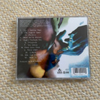 Alanis Morissette jagged little pill CD - pikkukuva 2