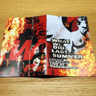 Robbie Williams - What We Did Last Summer (Live) 2xDVD - pikkukuva 4