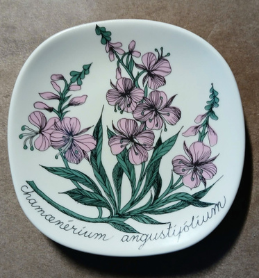 Arabia, Esteri Tomula, Botanica, Maitohorsma
