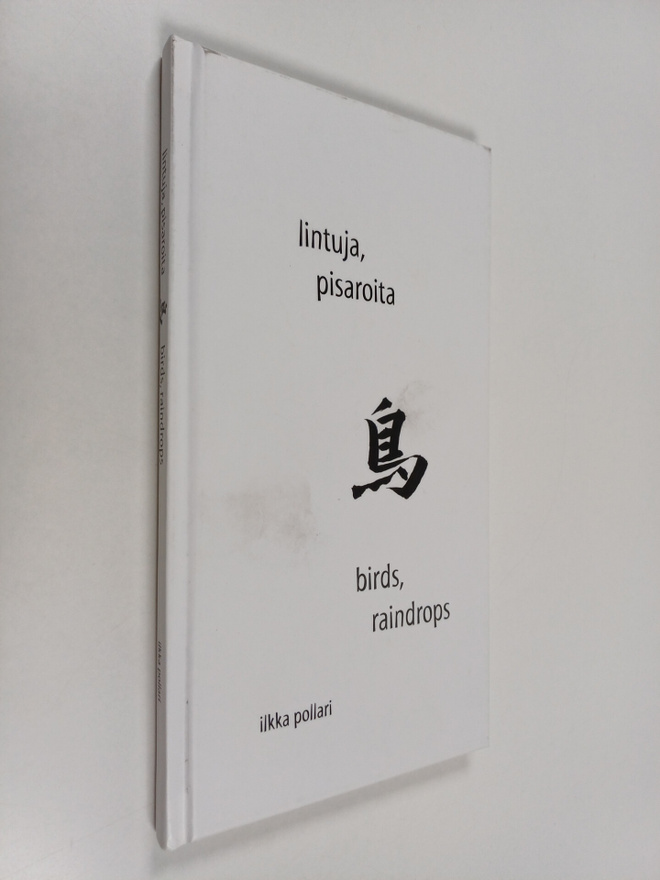 Ilkka Pollari : Lintuja, pisaroita = Birds, raindrops