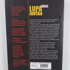 Maiju Lehti : Lupa johtaa : persoonallisia tarinoita - pikkukuva 2