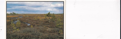 Pudasjärvi, Pohjanmaa    b614