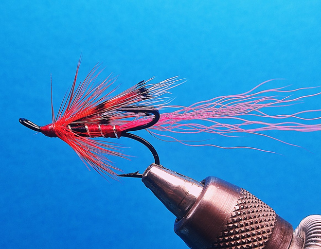 Lohiperho Ally`s Shrimp # 4 tre