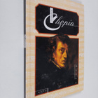 Pam Brown : Frederic Chopin - pikkukuva 1