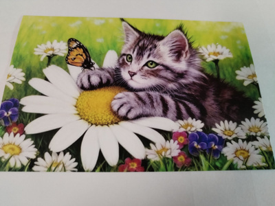 Kissa kortti,kulkematon,vaikka kehyksiin tauluksi.