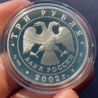 Russia Football World Cup 2002 - Ag.900 - UNC - pikkukuva 2