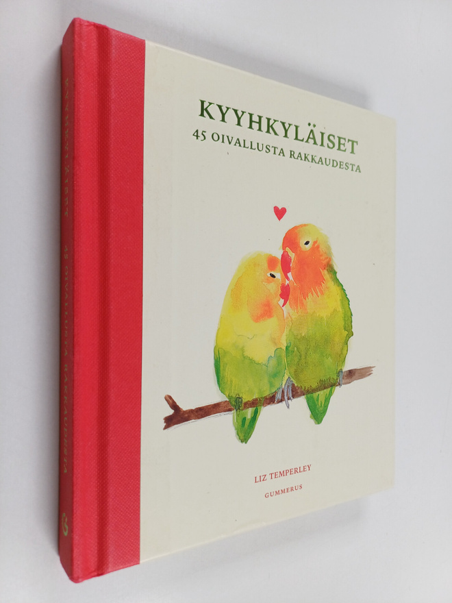 Kyyhkyläiset : 45 oivallusta rakkaudesta