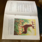Walt Disney Bambi Hki 1947, 2.ps. satukirja - pikkukuva 3