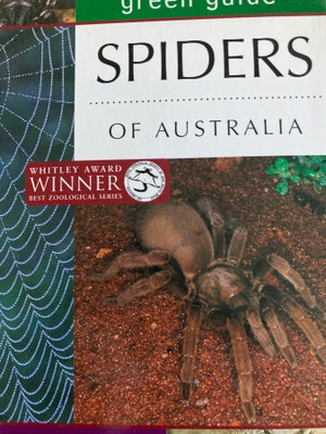 SPIDERS OF AUSTRALIA