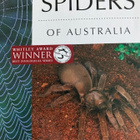 SPIDERS OF AUSTRALIA - pikkukuva 1