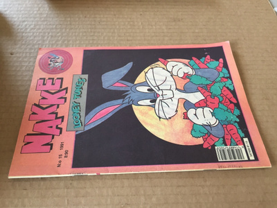 NAKKE LEHTI 15/1991 HYVÄ