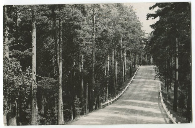 Savonlinna Punkaharju, kulkenut 1950/1951