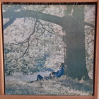 Yoko Ono - Plastic Ono band lp - pikkukuva 1