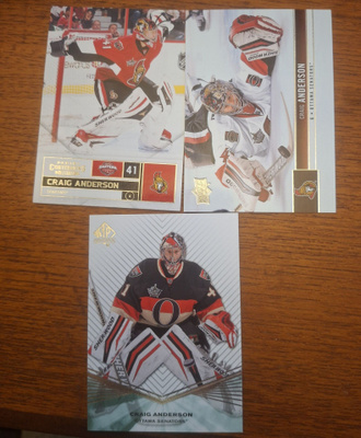 Craig Anderson (mokke) 3kpl
