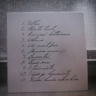 Niina Saarikangas: Kuvasi kaltainen CD - pikkukuva 2
