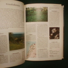 Vaellusopas : VANDRA I SVERIGE ( 1p. 2000 ) Sis.pk:t - pikkukuva 3