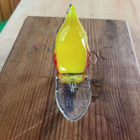 Lumo Vaappu 6cm Jalokalalle - pikkukuva 3