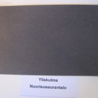 VANHA Postikortti Lieto Yliskulma 1920-l - pikkukuva 3