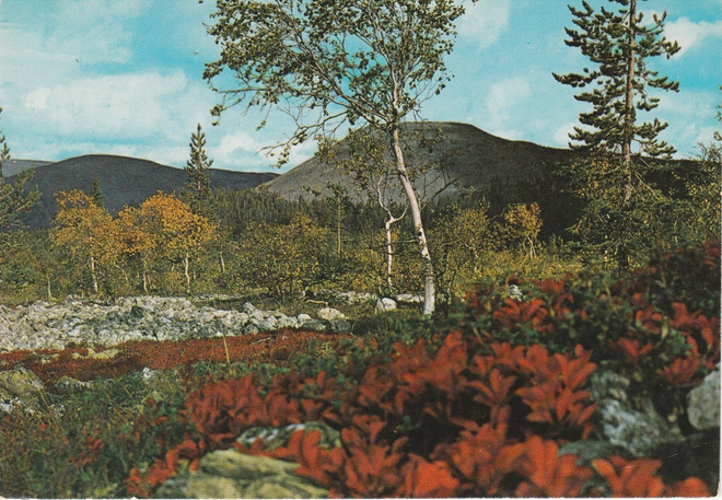Postikortti, SUOMEN LAPPI, Erikoisleima
